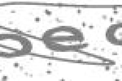 TRƯỜNG MẦM NON PHÙ VÂN LAN TỎA YÊU THƯƠNG QUA NGHĨA CỬ CAO ĐẸP GIỌT HỒNG TỪ TRÁI TIM